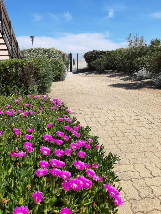Plage De La Roquille Agde Zewnętrze zdjęcie